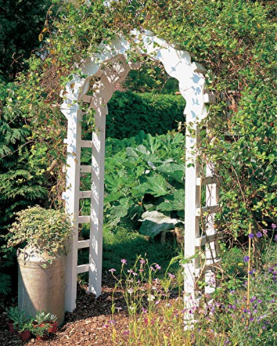 Woodworking for the Garden: 16 Easy-to-Build Step-by-Step Projects (Creative Homeowner) Easy-to-Follow Instructions for Trellises, Planters, Decking, Design Originals