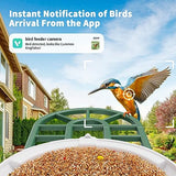 HARYMOR Bird Feeder with Camera with AI Identify Bird Species Solar Panel, Smart Bird House with Cam, Live View, Instant Arrival Alerts, Capture Bird HARYMOR