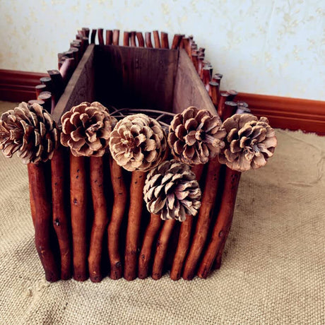 Amosfun Wood Log Sticks Twig Birch Tree Twigs 40pcs 20cm+ 30cm Wood Log Sticks Wood Craft Sticks Photo Props Craft Sticks for DIY Crafts Photo Props Amosfun