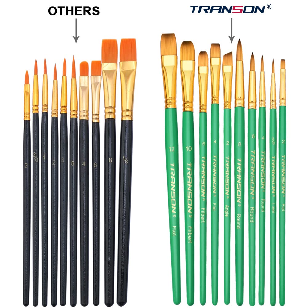 Transon 20pcs Artist Painting Brush Set and Acrylic Paint Set 12-Color with 3 Paint Brushes TRANSON