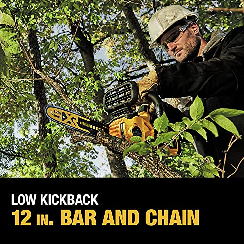 DEWALT 20V MAX* XR Chainsaw Kit, 5-Ah Battery, 12-Inch (DCCS620P1) DEWALT