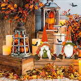 Gnome Beards for Crafting, 12 Pieces Pre-Cut Christmas Gnome Beards and Gnome Noses for Crafts Christmas Valentine's Day Independence Day Handmade EUBUY