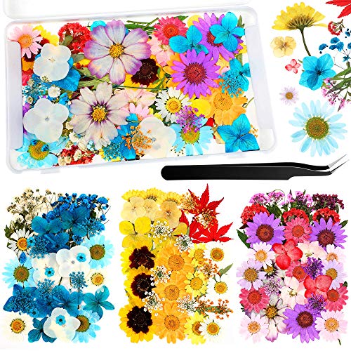 Nuanchu 110 Pieces Dried Pressed Flower for Resin Pressed Flowers Leaves with Tweezers and Box Set Natural Daisy Flowers Bulk Real Dry DIY Flowers - WoodArtSupply