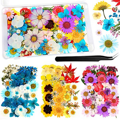 Nuanchu 110 Pieces Dried Pressed Flower for Resin Pressed Flowers Leaves with Tweezers and Box Set Natural Daisy Flowers Bulk Real Dry DIY Flowers - WoodArtSupply