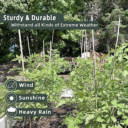 50Pcs Bamboo Plant Stakes for Indoor Outdoor Plants, 0.32''/16 Inch Bamboo Sticks Garden Support Stakes Bamboo Poles Trellis for Tomato Vegetables Avalution