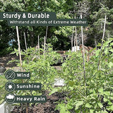 50Pcs Bamboo Plant Stakes for Indoor Outdoor Plants, 0.32''/16 Inch Bamboo Sticks Garden Support Stakes Bamboo Poles Trellis for Tomato Vegetables Avalution