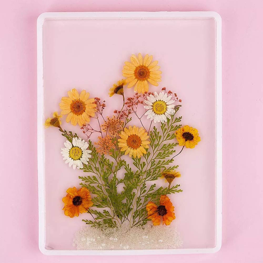 Shanglist Silicone Tray Molds for Epoxy Resin, Large Epoxy Resin Casting Mold for DIY Crafts Serving Board Shanglist