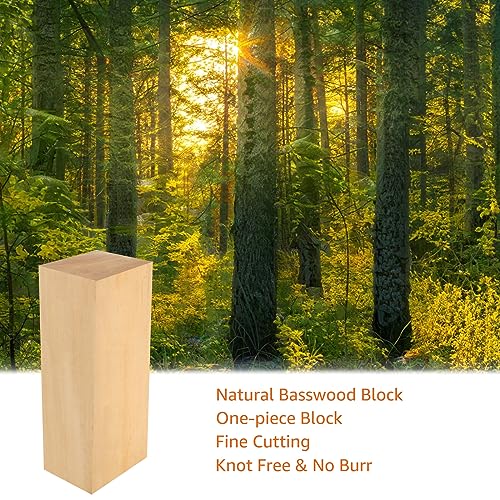 Acrux7 10 x 4 x 3 Inch Basswood Carving Blocks, Bass Wood for Wood Carving, Unfinished Carving Wood Blocks Acrux7