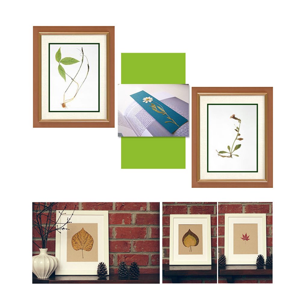 Happytime Kids' Flower & Leaf Press Nature Crafts Wooden Art Kit Outdoor Play Learning Toy Creativity Pressed Flower Art Kit DIY Recycle Floral Press Happytime