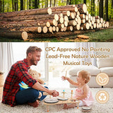 Kids Drum Set for Toddlers 1-3, All in One Musical Instruments - Wooden Musical Toys - Montessori Sensory Toys for 1 Year Old - Birthday Gifts for Vanplay