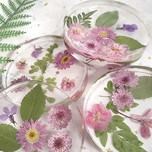 RESINWORLD 6-Cavity Deep Round Coaster Molds, 4 Inches Coaster Silicone Molds for Epoxy Resin, Coaster Resin Molds for Flower Bouquet Preservation ResinWorld