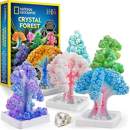 NATIONAL GEOGRAPHIC Craft Kits for Kids - Crystal Growing Kit, Grow 6 Crystal Trees in Just 6 Hours, Educational Craft Kit with Art Supplies, Geode - WoodArtSupply