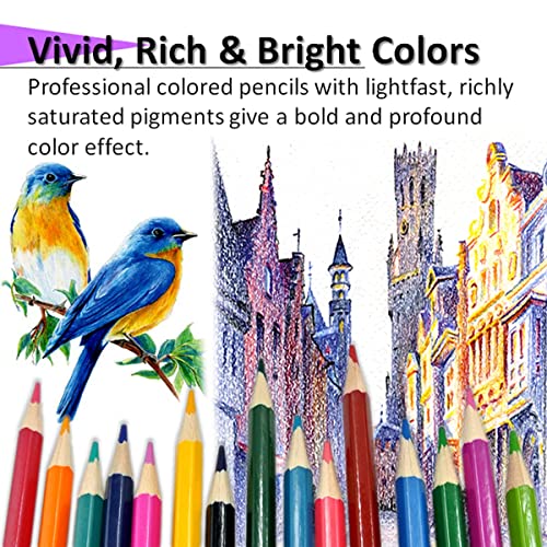 Professional Vibrant Colored Pencil Set – 48 Pack Soft Oil-based Cores  Hexangular Premium Sharpener Case Writing Coloring Books Drawing Arts  Sketching