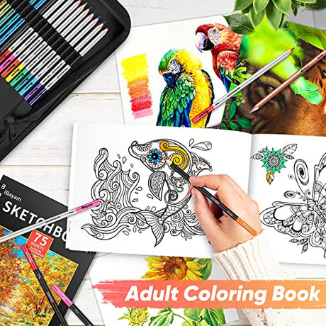 iBayam 78-Pack Drawing Set Sketching Kit, Pro Art Supplies with 75 Sheets 3-Color Sketch Pad, Coloring Book, Charcoal, Metallic, Colored Watercolor, iBayam