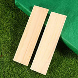 SEWACC Wood Crafts Crafts 10pcs Wood Boards Natural Pine Wood Board Panel Unfinished Wood Boards Sheets Carving Blocks for Arts Crafts DIY Projects SEWACC