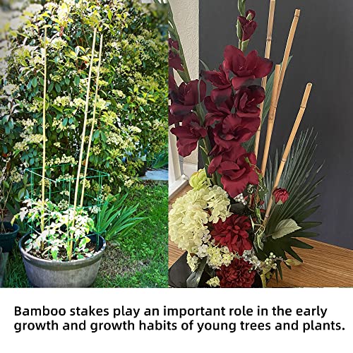 50Pcs Garden Stakes, 0.32”/16 Inch Bamboo Sticks，Natural Plant Stakes for Indoor and Outdoor Plants，Poles for Tomatoes, Beans, Potted Plants Anothera