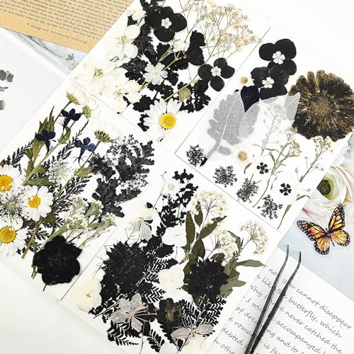 MIKIYA 84Pcs Black Dried Pressed Flowers for Resin Molds, Bulk Real Natural Dry Floral for DIY Art Crafts, Epoxy Jewelry, Candle, Soap Making, Nails MIKIYA