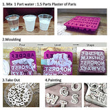 Falling in Art 5lb Plaster of Paris Falling in Art