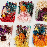 2 Random Boxes Pressed Flowers Dried Pressed Flowers for Resin Real Dried Flower Leaves Mixed Pressed Flower Colorful Real Dried Flower with Tweezers WoodArtSupply