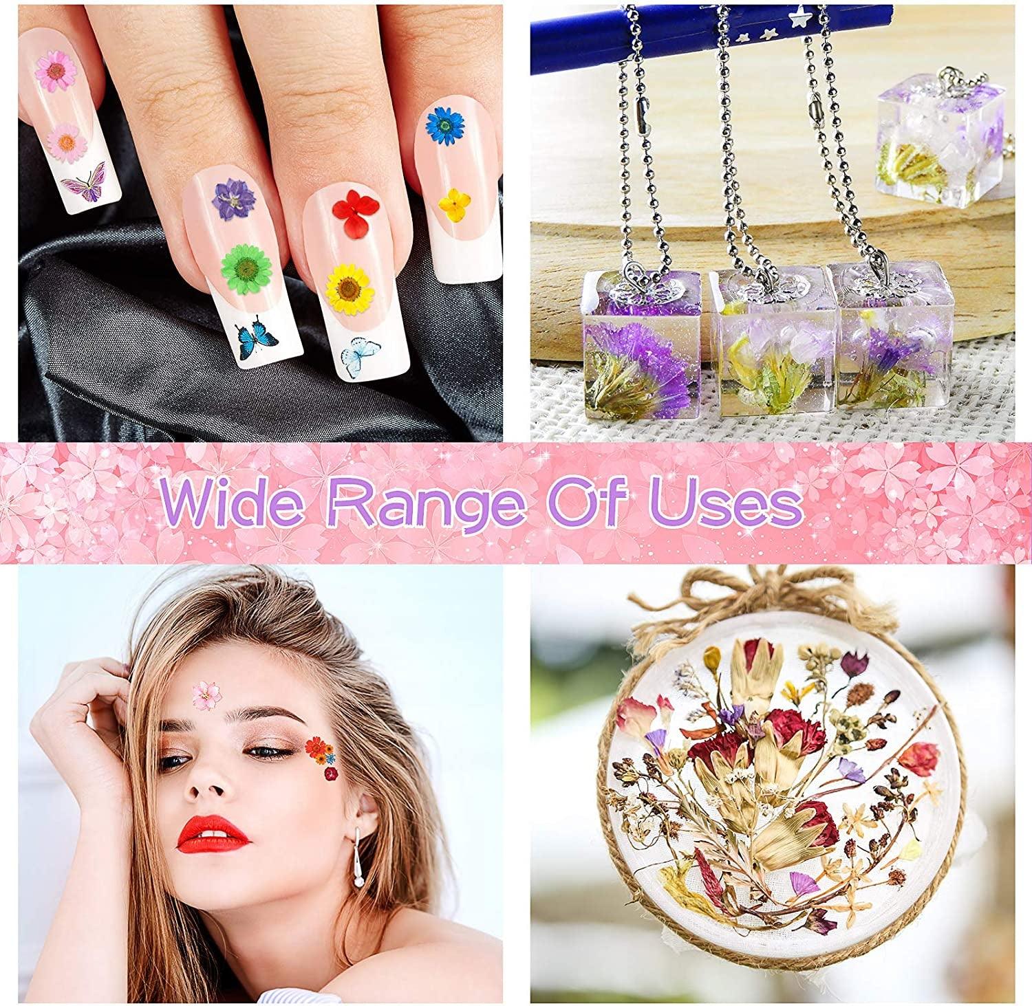 223 Pieces Real Dried Flowers Leaves and Butterfly Stickers Set, Multiple Pressed Dry Flowers Colorful Natural Daisies Flowers and Adhesive Butterfly WoodArtSupply