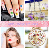 223 Pieces Real Dried Flowers Leaves and Butterfly Stickers Set, Multiple Pressed Dry Flowers Colorful Natural Daisies Flowers and Adhesive Butterfly WoodArtSupply