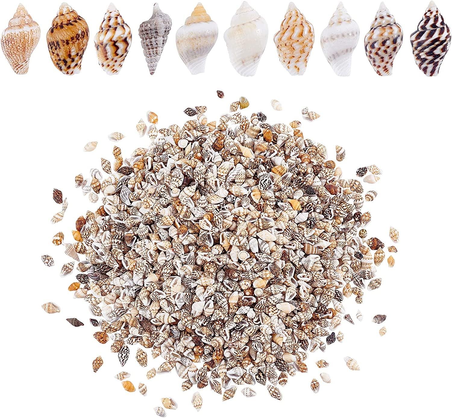 1400-1500Pcs Sea Shell Beads 7-12Mm Tiny Crushed Shells Miniature Shells NO Hole Seashells Ocean Spiral Seashells for Resin Candle Home Party Wedding WoodArtSupply