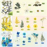 223 Pieces Real Dried Flowers Leaves and Butterfly Stickers Set, Multiple Pressed Dry Flowers Colorful Natural Daisies Flowers and Adhesive Butterfly WoodArtSupply