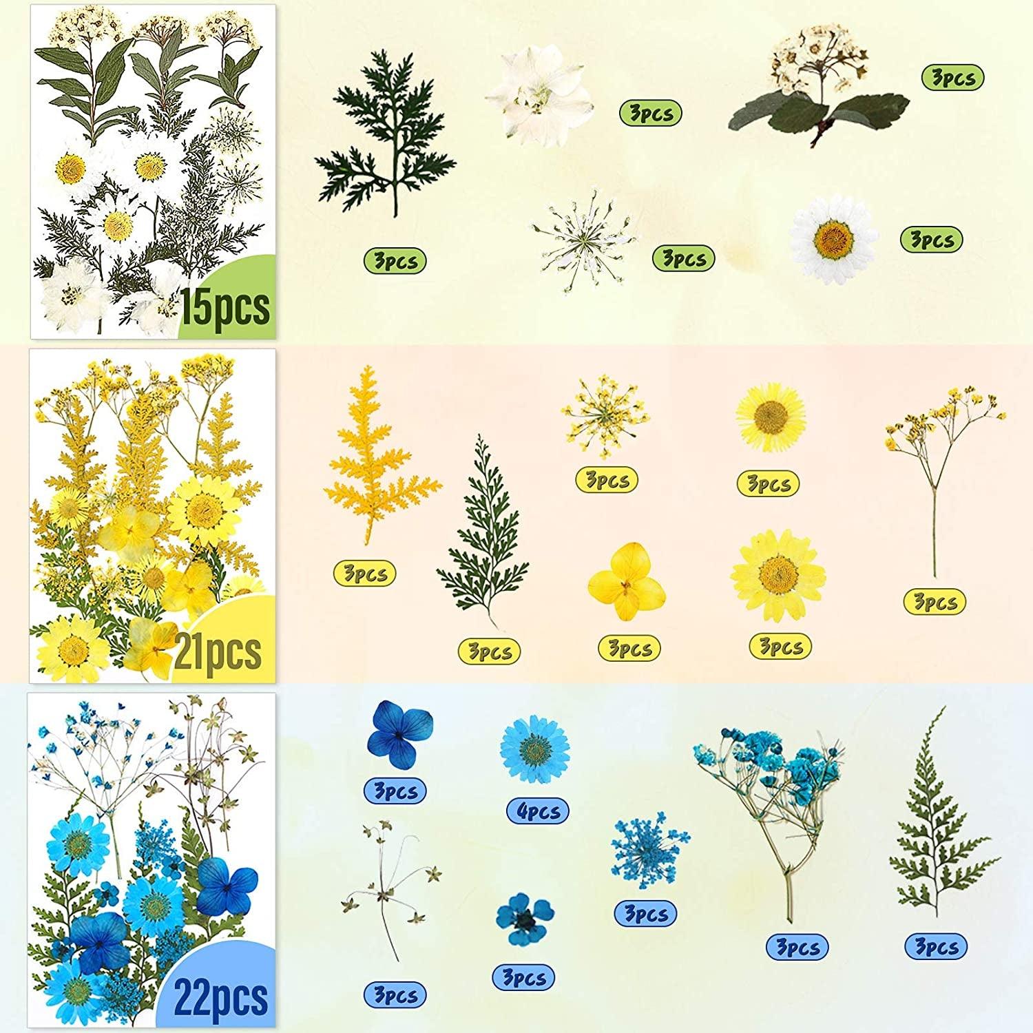 180 Pieces Dried Pressed Flowers and Butterfly Transparent Stickers Set  with Tweezer, Natural Mixed Dry Flowers Leaves for DIY Candle Nail Pendants