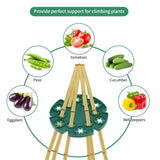 KINGLAKE 6 Pcs Bamboo Cane Holder Plastic Plant Cane Support Caps for Climbing Plants Sweet Peas Beans Green KINGLAKE