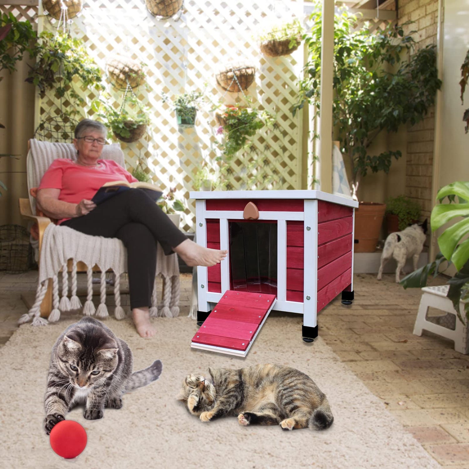 Rockever Outdoor Cat House,Outdoor cat Houses for Feral Cats Weatherproof Rabbit Hutch Small, Wooden Small Pet House and Habitats Rockever