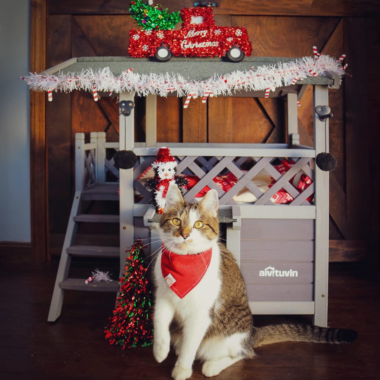 Cat House with Door for Feral Cats, Rainproof Outside Kitty House, 2 Story Wooden Kitten Condo with Stairs (AIR09-BS) GUTINNEEN