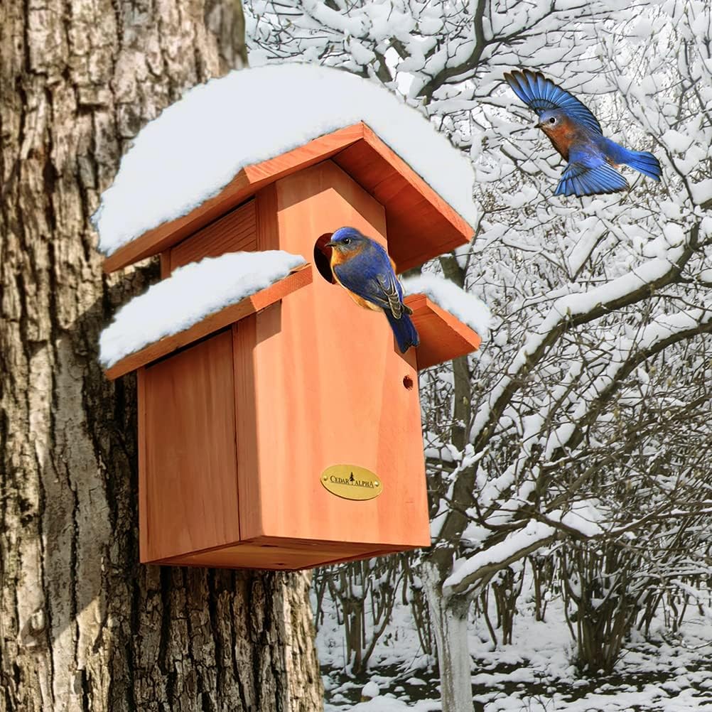 Cedar Comfy Mansion Bluebird House, Rustic Proof Nestbox, Water Proof, Outdoor Lifetime Durability Solid Cedar Wood Bird House, Secure Latch, Vintage