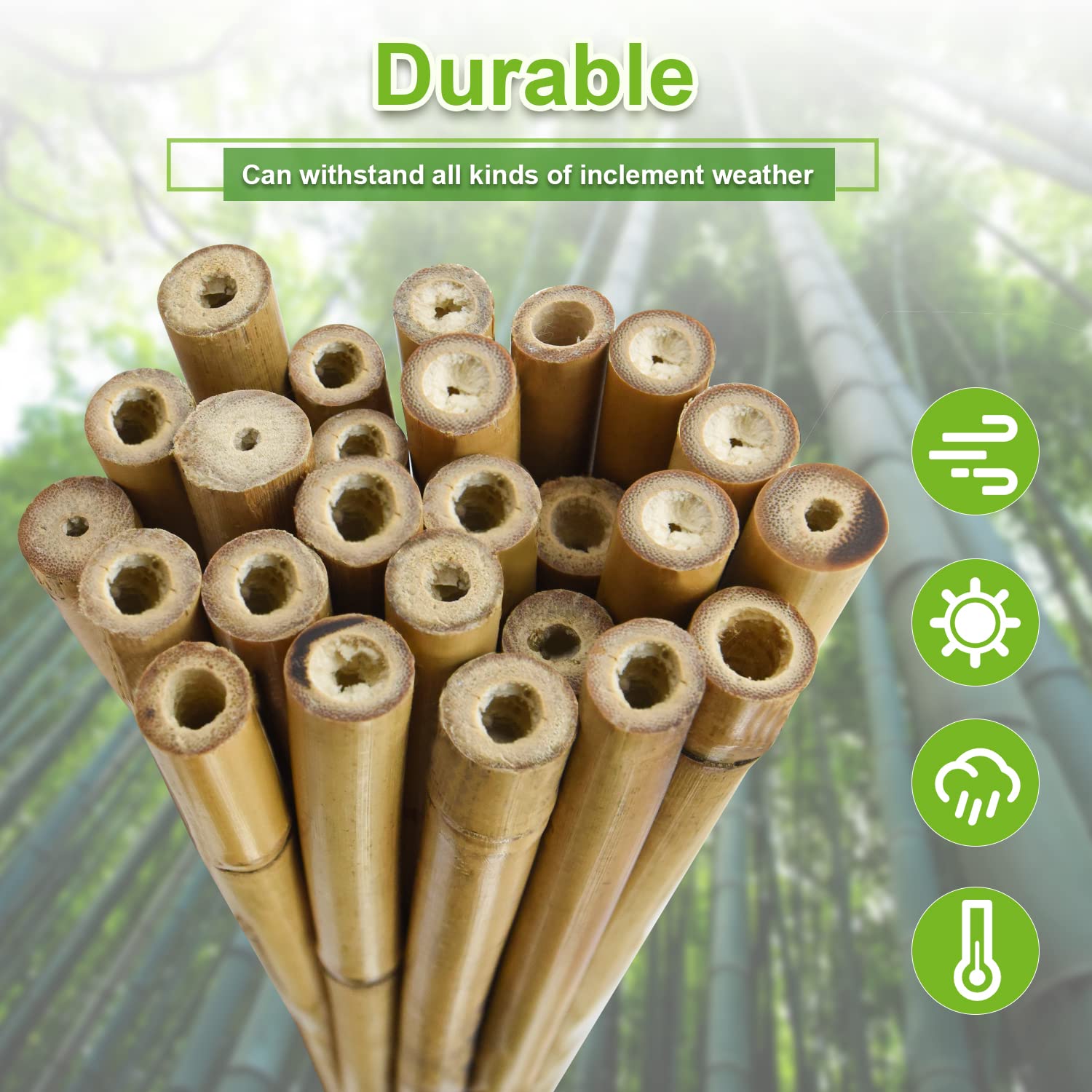 Jollybower 15pcs 3/4" D Thicker Heavy Duty Bamboo Stakes, 7FT Plant Stakes, Natural Garden Stakes for Tomato, Bean, Flowers,Trees Potted and Climbing Jollybower
