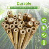 Jollybower 15pcs 3/4" D Thicker Heavy Duty Bamboo Stakes, 7FT Plant Stakes, Natural Garden Stakes for Tomato, Bean, Flowers,Trees Potted and Climbing Jollybower