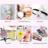 iFancer Dried Flowers for Resin Craft Nail Art Mix Small Mini Dry Flowers (Pack of 6 Boxes, About 260 PCS) iFancer