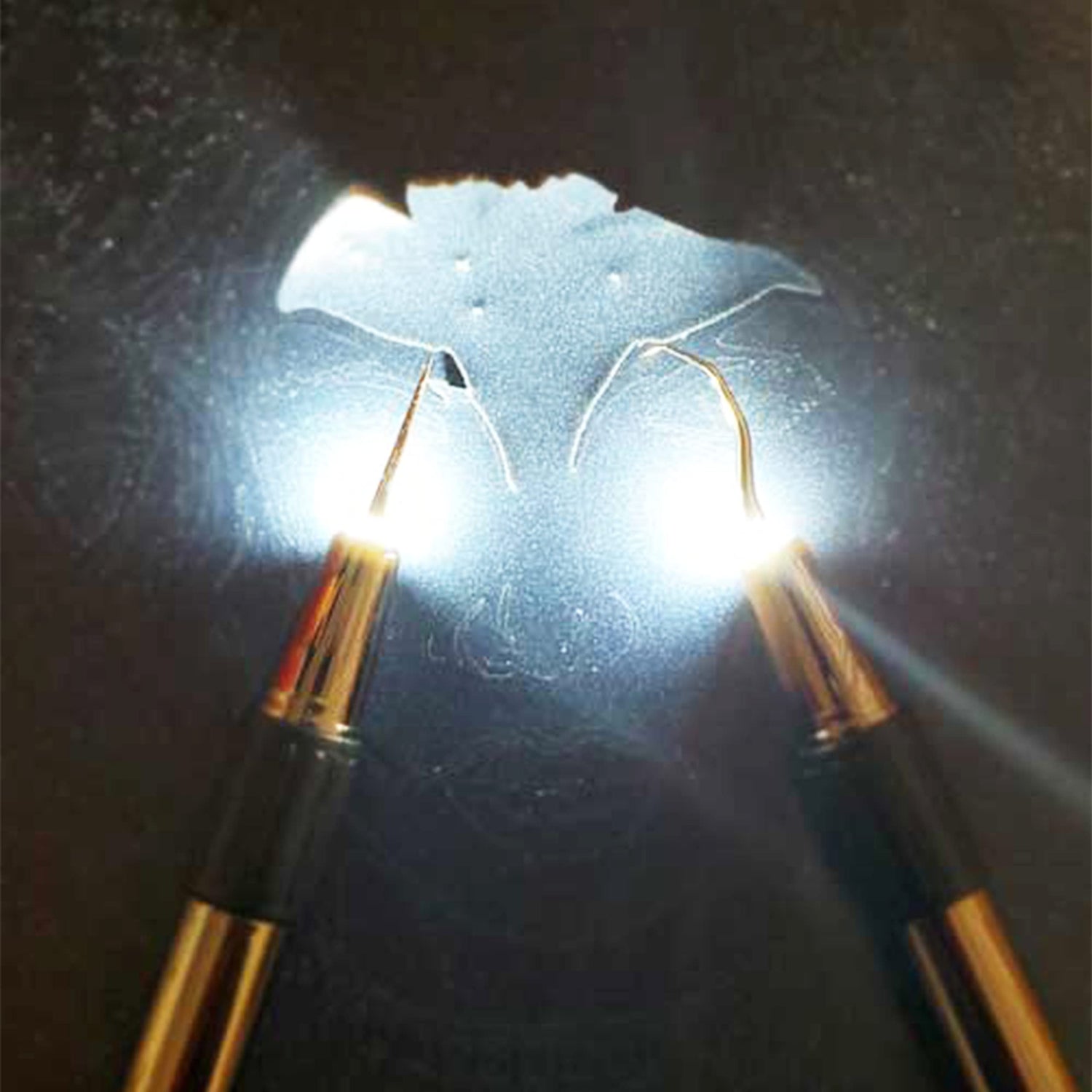 Tweedy Lite Pin Weeding Tools with Build in LED Light. Perfect for Vinyl, Paper & Iron-on Projects, Great Companion for Cricut or Any Cutting Heat Transfer Source