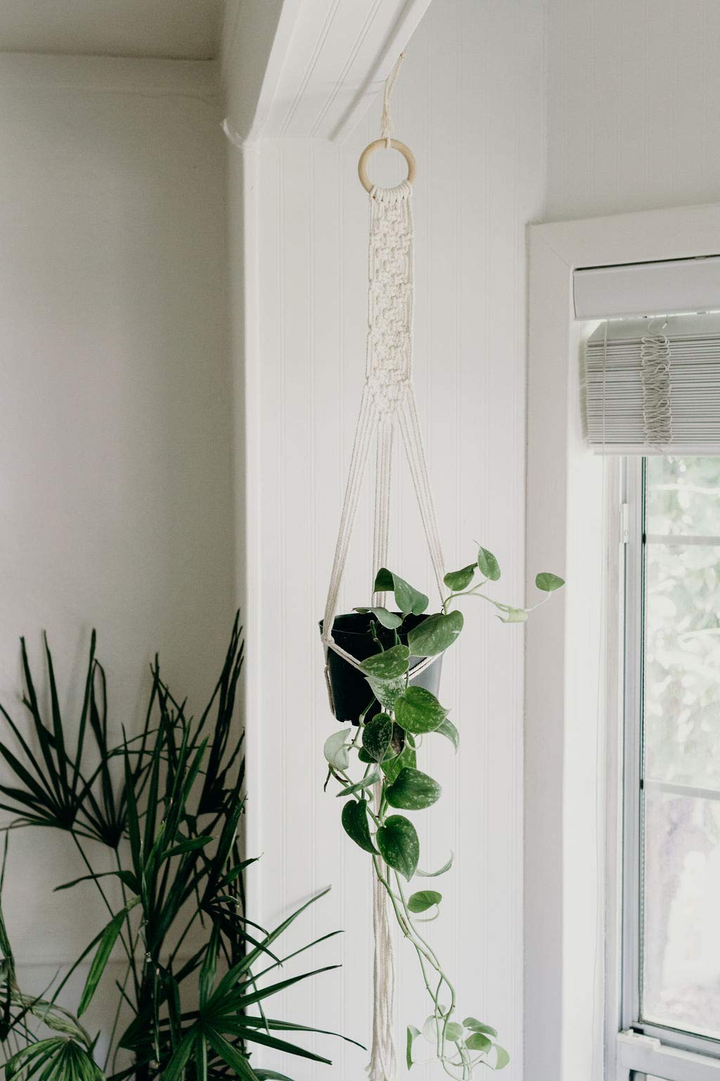 DIY Macrame Kit for Beginners by I HEART KITS – Makes 3 Projects: 1 Macrame  Plant Hanger, 1 Macrame Keychain & 1 Macrame Wall Hanging, Includes Cotton