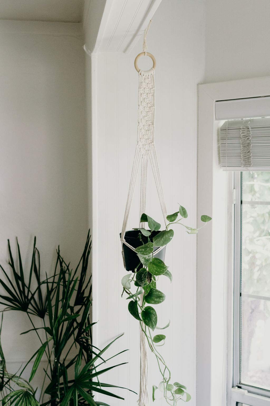 DIY Macrame Kit for Beginners by I HEART KITS – Makes 3 Projects: 1 Macrame Plant Hanger, 1 Macrame Keychain & 1 Macrame Wall Hanging, Includes - WoodArtSupply