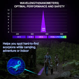 Black Light UV Light Flashlight: Vansky 395nm 12 LED 2 Pack Ultraviolet Blacklight Flashlight Mini Powerful Pet Urine Detector for Dog/Cat, Carpet Vansky