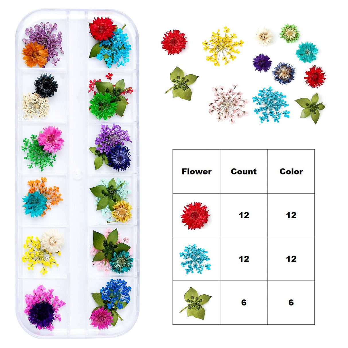 iFancer Dried Flowers for Resin Craft Nail Art Mix Small Mini Dry Flowers (Pack of 6 Boxes, About 260 PCS) iFancer