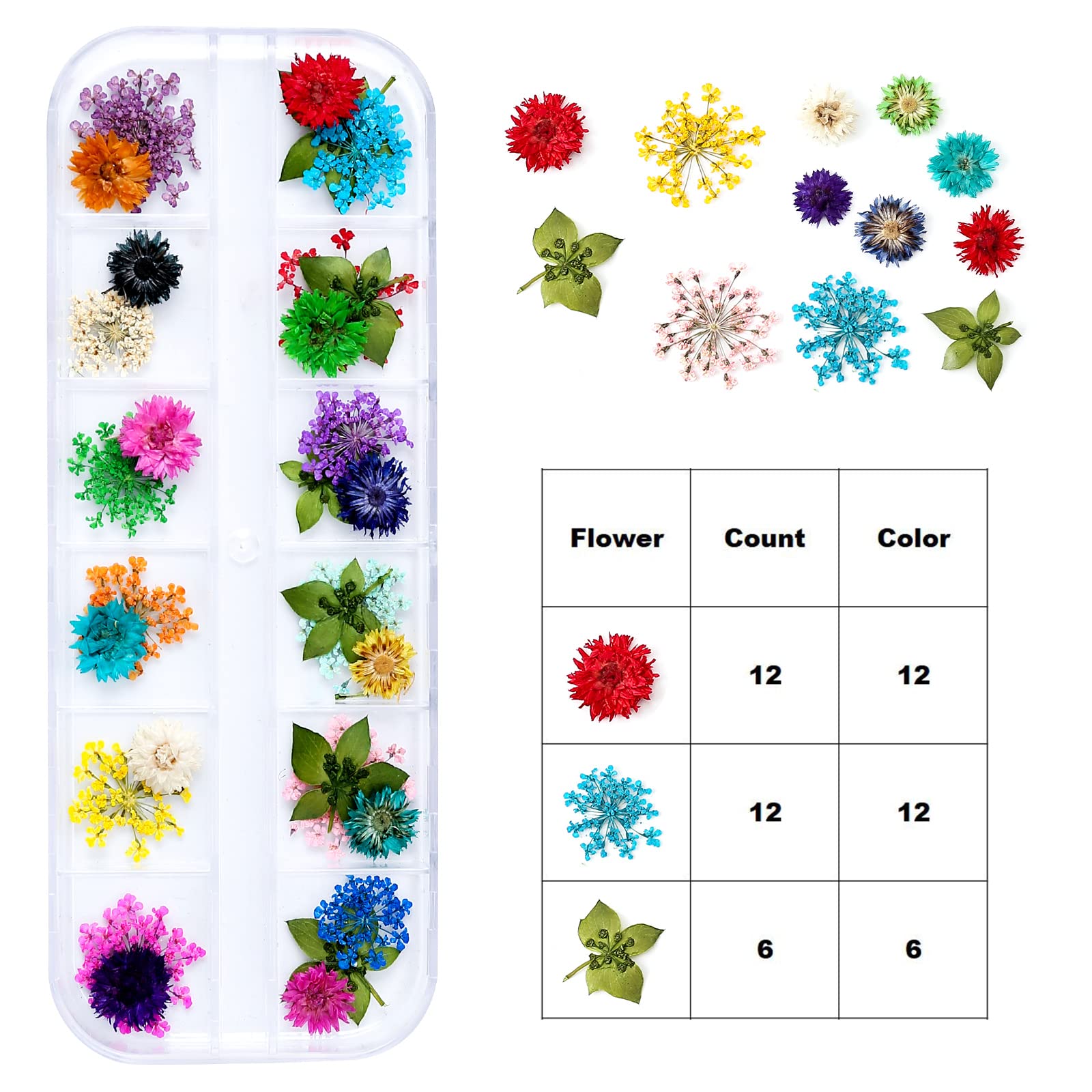 iFancer Dried Flowers for Resin Craft Nail Art Mix Small Mini Dry Flowers (Pack of 6 Boxes, About 260 PCS) - WoodArtSupply