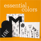 Apple Barrel PROMOABWB Set Featuring 2 White Black Acrylic Paint Colors, 16 Fl Oz (Pack of 2), Multi Apple Barrel