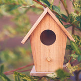 POWERTEC 71634 20-Piece Drill Press Sanding Drum Kit w/ ¼ and 1/8 inch Shanks, Spindle Sander Sleeves, Tool Carrying Case POWERTEC