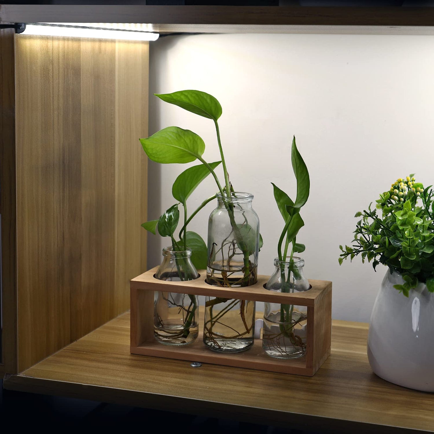 Litever LED Safe Light Kit. Human Motion Sensor Activated. 6 Slim LED Light Bars. Linkable Extendable Plug-in for Gun Safe, Locker, Closet, Showcase, Litever