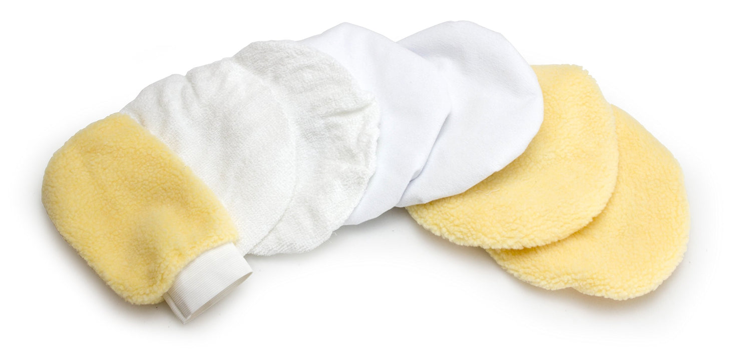 WEN 10PMC 10-Inch Waxer/Polisher in Case with Extra Bonnets WEN