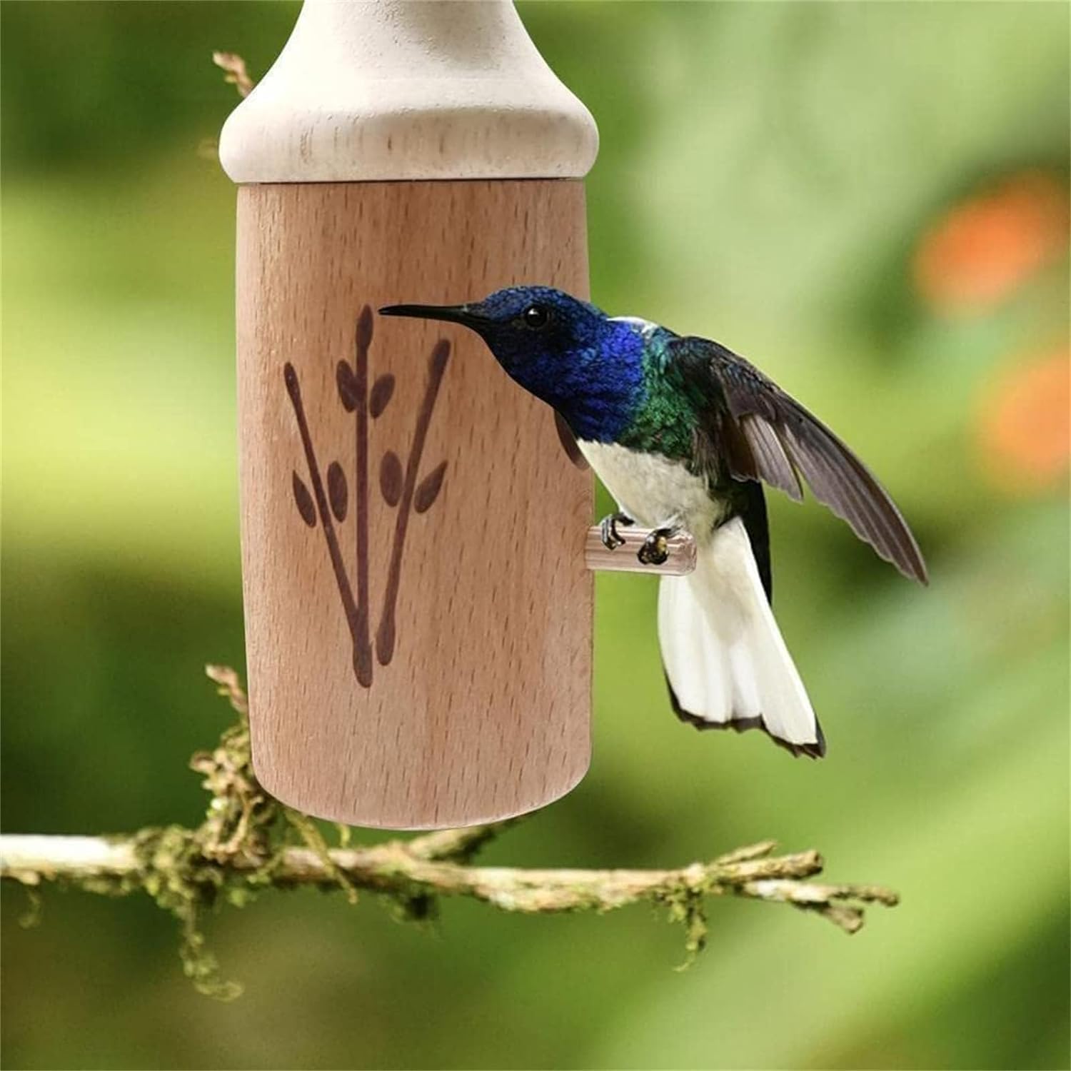 Shirem Wooden Hummingbird House, Natural Wooden Hummingbird House for Outside Hanging for Nesting, Garden Wooden Bird Feeder (Set D) LSNTUU