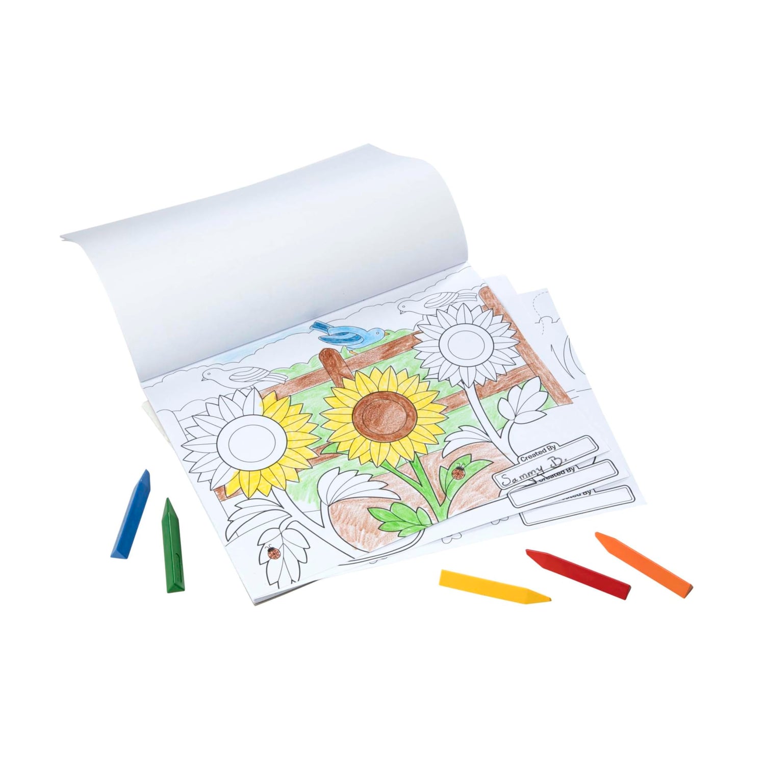 Melissa & Doug Jumbo 50-Page Kids' Coloring Pad - Horses, Hearts, Flowers, and More, 0.25" x 11" x 14" Melissa & Doug