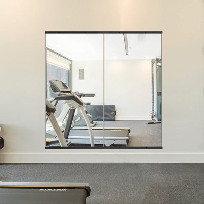Delma Home Gym Mirror, Large Full Body Mirror for Yoga, 48''x24''x2PCS, Glass Frameless Mirror for Wall Mounted, Wall Mirror for Home Gym, Garage,