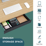 FLEXISPOT Under Desk Pull-Out Drawer Standing Desk Storage Organizer, Sliding Security Workstation Drawers (L, Black) FLEXISPOT