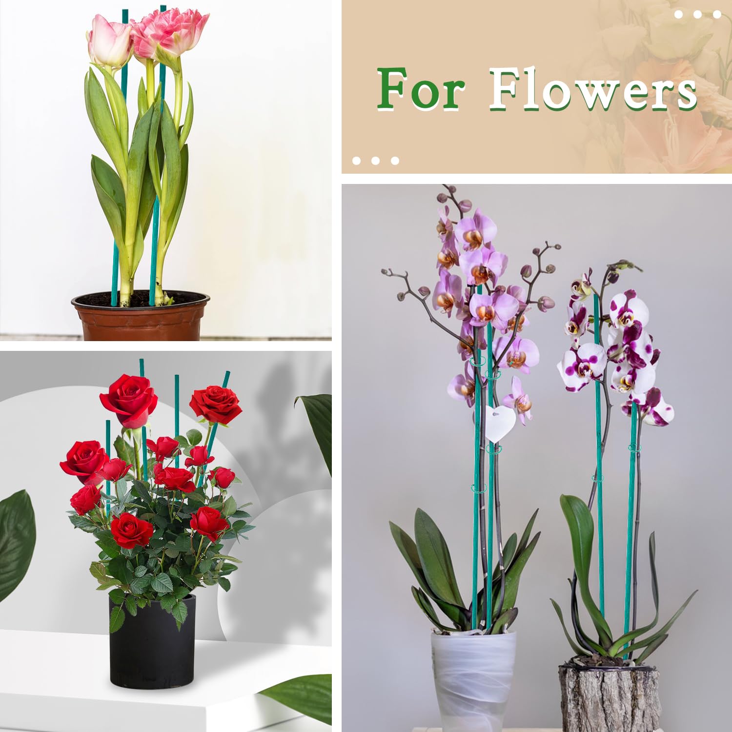 SupKing Plant Stakes,17&12 Inch Wood Plant Sticks 30 Pack Orchid Stake Sturdy Green Bamboo Plant Support Stake Gardening Floral Potted Plant Support SupKing